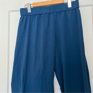 Silk Eileen Fisher pull on palazzo wide leg cropped pants